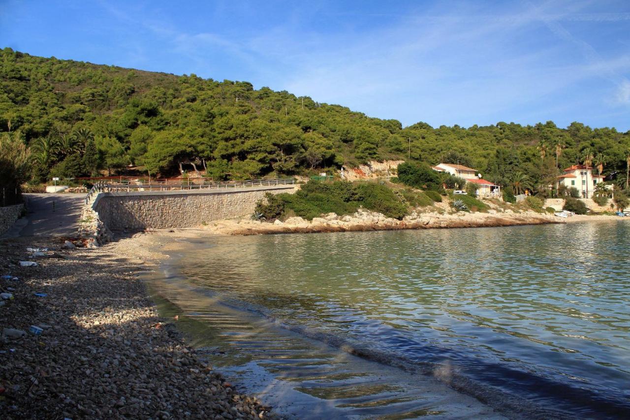 Apartments By The Sea Milna, Vis - 8946 Rukavac  Exterior photo